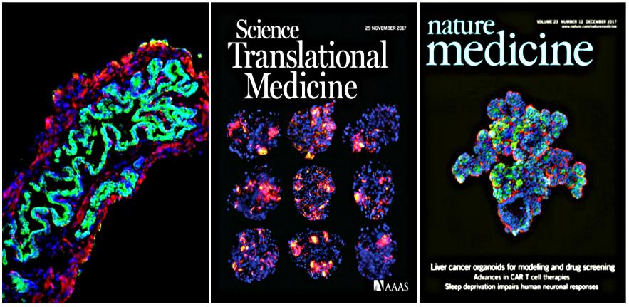 Publications Home header