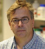 Dr Mike  Murphy
