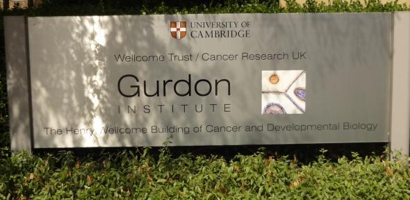 Gurdon two Gurdon two